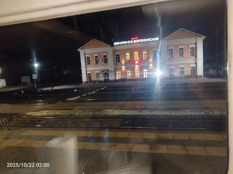 Город Воронеж. Девятнадцатый арбитражный апелляционный суд